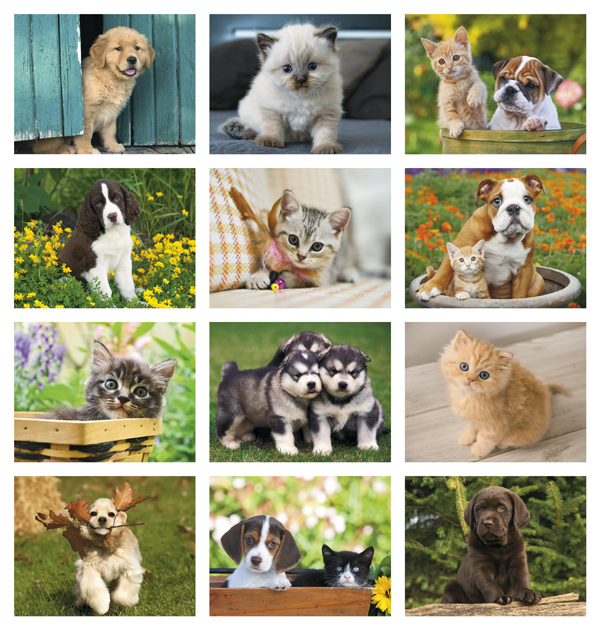 Click to Enlarge Monthly Images- Puppies & Kittens #7207 Custom Imprinted Calendar - Puppies & Kittens #7207