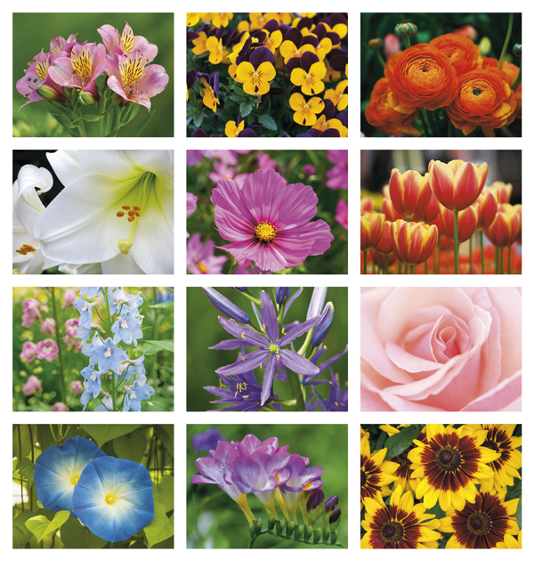 Click to Enlarge Monthly Images- Flowers #7280 Custom Imprinted Calendar - Flowers #7280