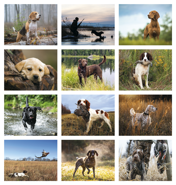 Click to Enlarge Monthly Images- Sporting Dogs #7290 Custom Imprinted Calendar - Sporting Dogs #7290