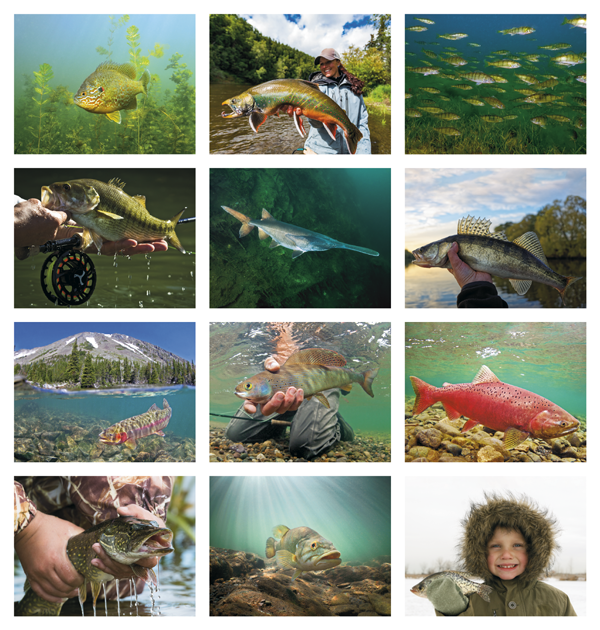 Click to Enlarge Monthly Images- Fishing #7299 Custom Imprinted Calendar - Fishing #7299