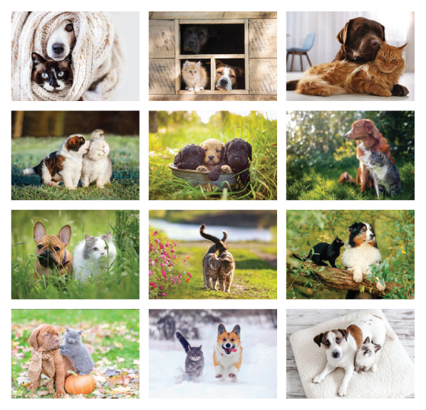 Click to Enlarge Monthly Images- Furry Friends Stapled #3093 Custom Imprinted Calendar - Furry Friends Stapled #3093