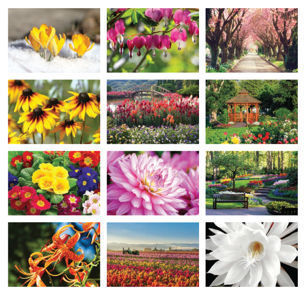 Click to Enlarge Monthly Images- Garden Splendor Stapled #3095 Custom Imprinted Calendar - Garden Splendor Stapled #3095