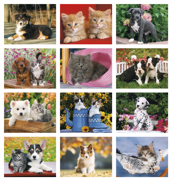 Click to Enlarge Monthly Images- Four Paws #810 Custom Imprinted Calendar - Four Paws #810