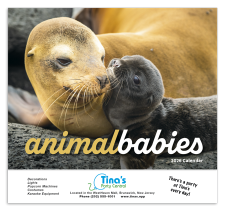 Animals Babies